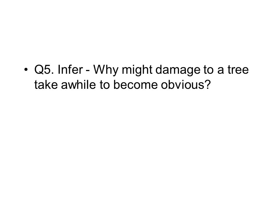 Q5. Infer - Why might damage to a tree take awhile to become obvious