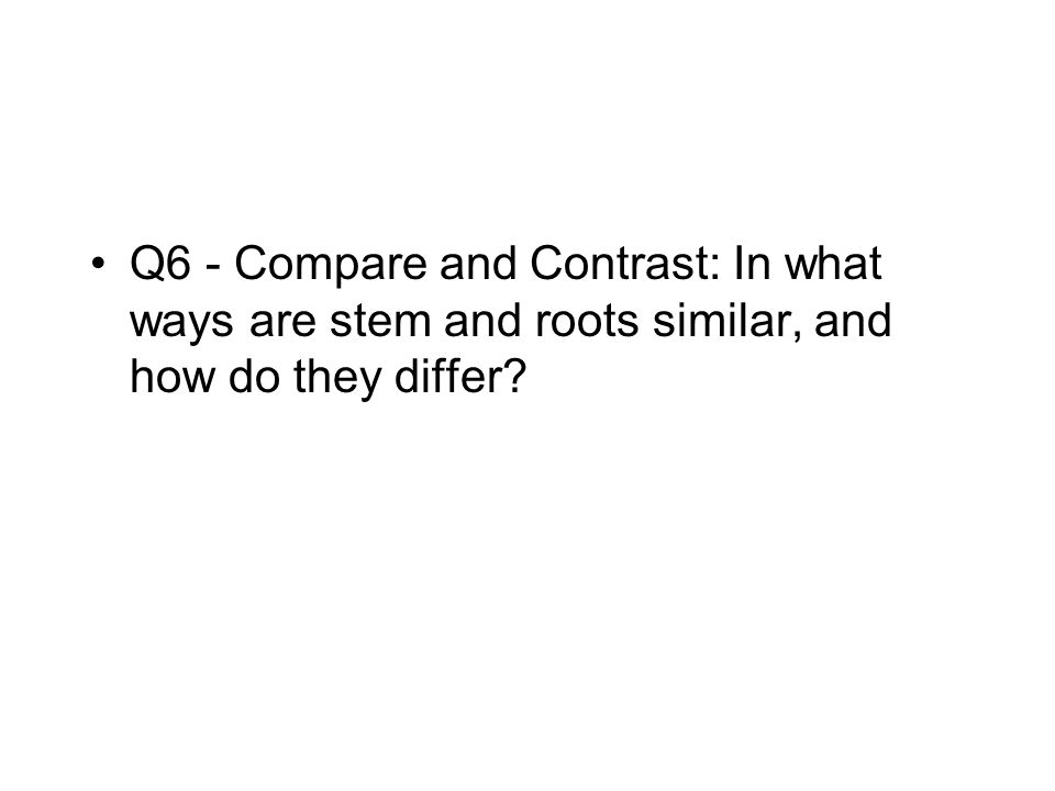 Q6 - Compare and Contrast: In what ways are stem and roots similar, and how do they differ