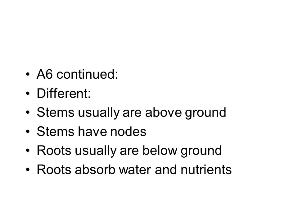 A6 continued: Different: Stems usually are above ground Stems have nodes Roots usually are below ground Roots absorb water and nutrients