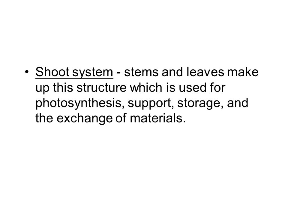 Shoot system - stems and leaves make up this structure which is used for photosynthesis, support, storage, and the exchange of materials.