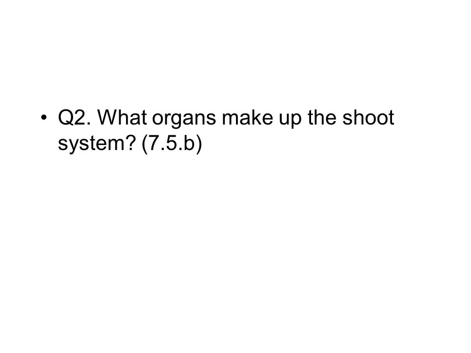 Q2. What organs make up the shoot system (7.5.b)