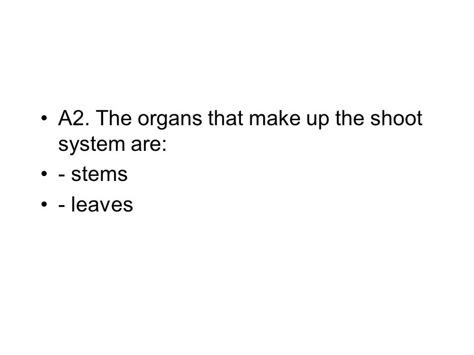 A2. The organs that make up the shoot system are: - stems - leaves