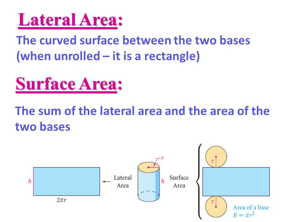 Lateral Area: The curved surface between the two bases (when unrolled – it is a rectangle) Surface Area: The sum of the lateral area and the area of the two bases