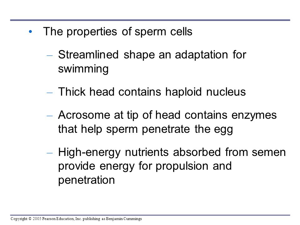 Porn wommen mature Two adaptions of a sperm cell