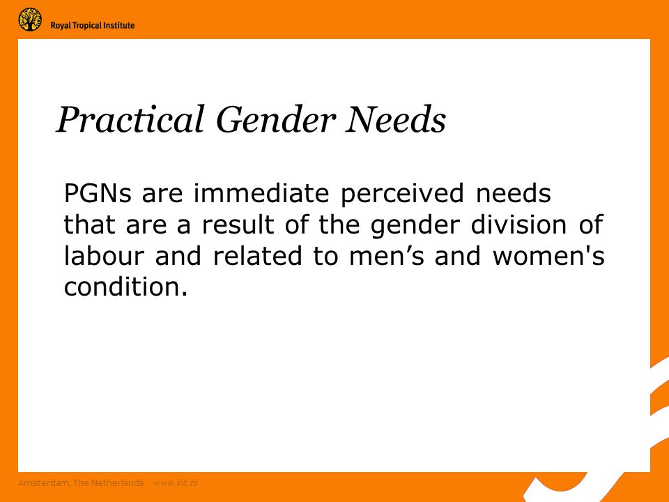 Amsterdam, The Netherlands   Practical Gender Needs PGNs are immediate perceived needs that are a result of the gender division of labour and related to men’s and women s condition.