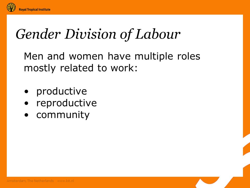 Amsterdam, The Netherlands   Gender Division of Labour Men and women have multiple roles mostly related to work: productive reproductive community