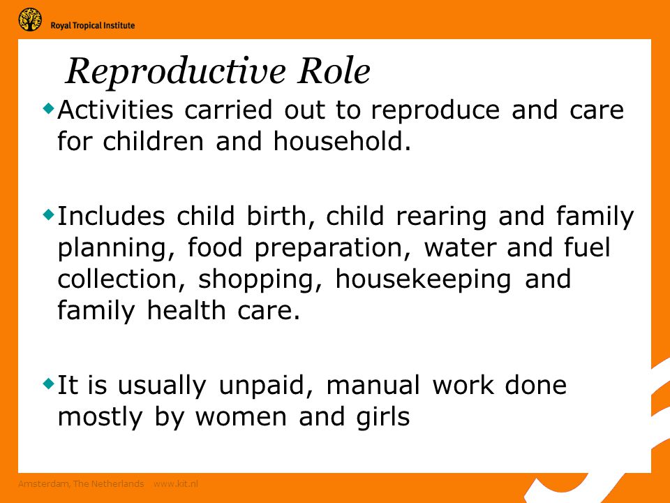 Amsterdam, The Netherlands   Reproductive Role  Activities carried out to reproduce and care for children and household.