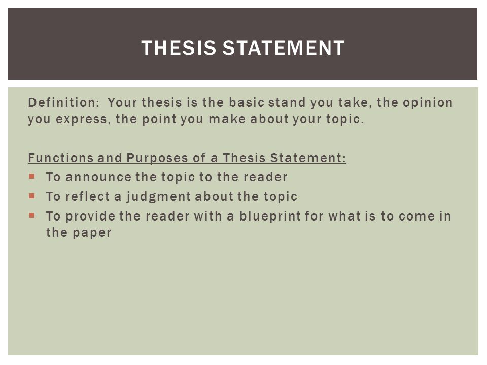 What is thesis statement mean