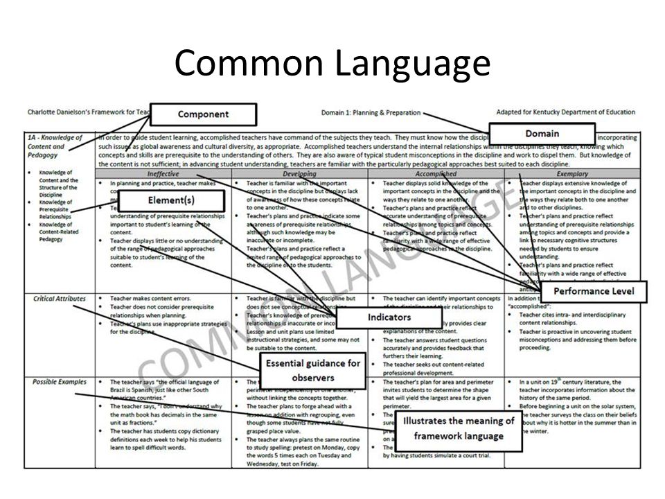 Common Language