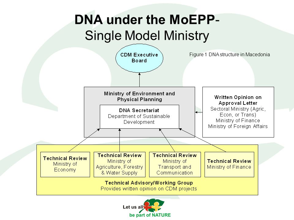 DNA under the MoEPP- Single Model Ministry Figure 1 DNA structure in Macedonia