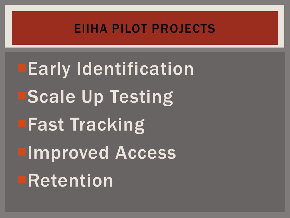  Early Identification  Scale Up Testing  Fast Tracking  Improved Access  Retention EIIHA PILOT PROJECTS