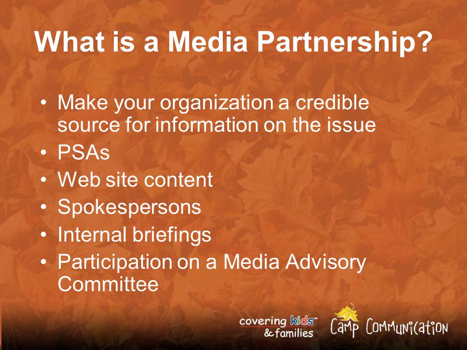 What is a Media Partnership.