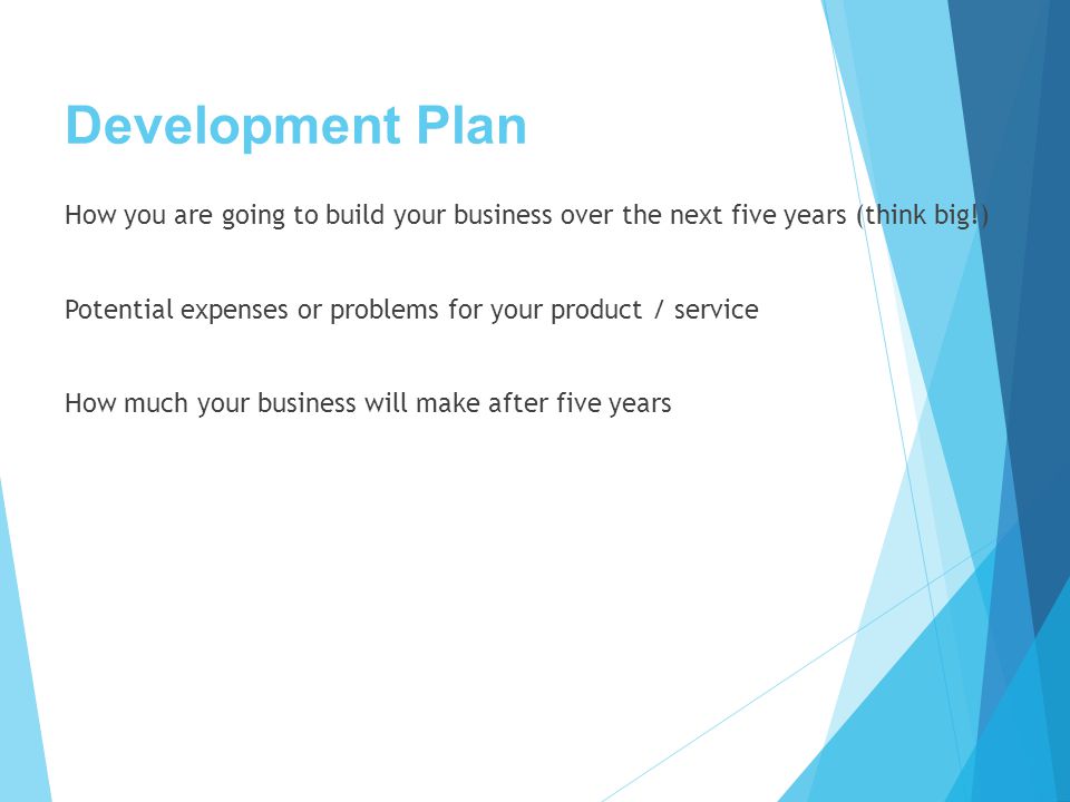 Development Plan How you are going to build your business over the next five years (think big!) Potential expenses or problems for your product / service How much your business will make after five years