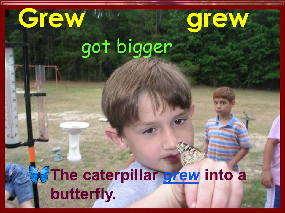 Anne Miller got bigger Grew grew The caterpillar grew into a butterfly.