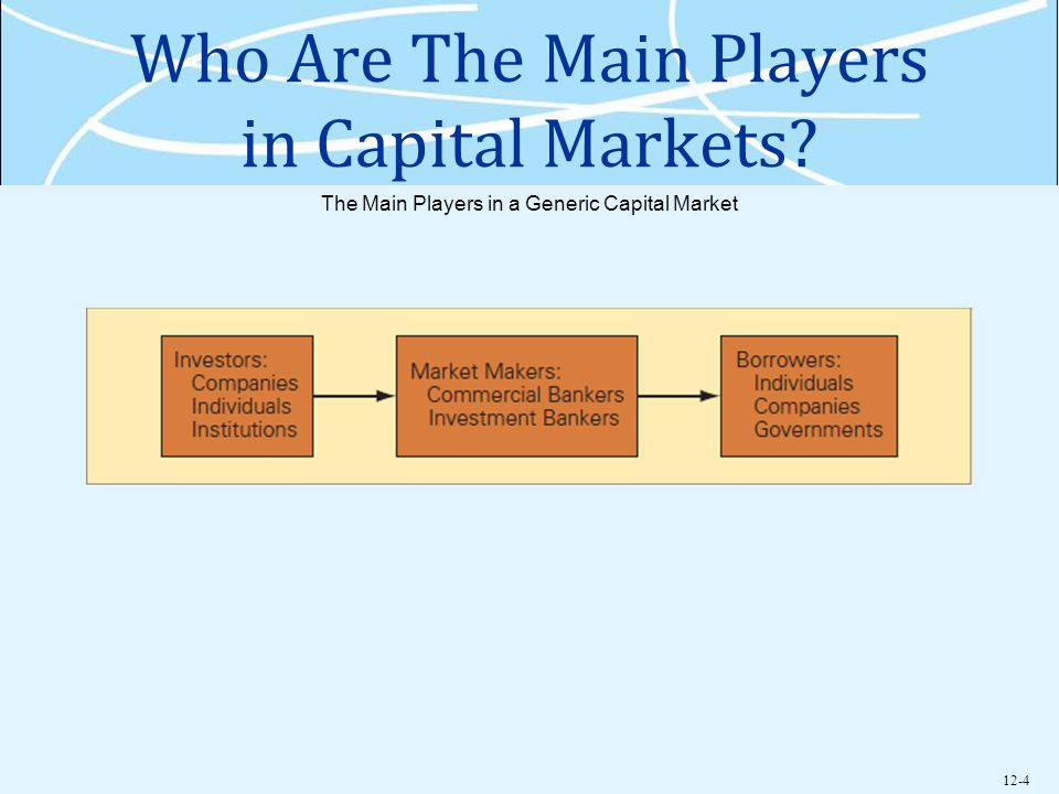 12-4 Who Are The Main Players in Capital Markets The Main Players in a Generic Capital Market