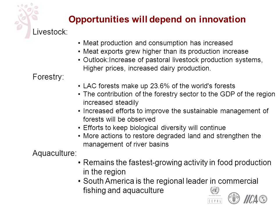 Opportunities will depend on innovation Livestock: Meat production and consumption has increased Meat exports grew higher than its production increase Outlook:Increase of pastoral livestock production systems, Higher prices, increased dairy production.