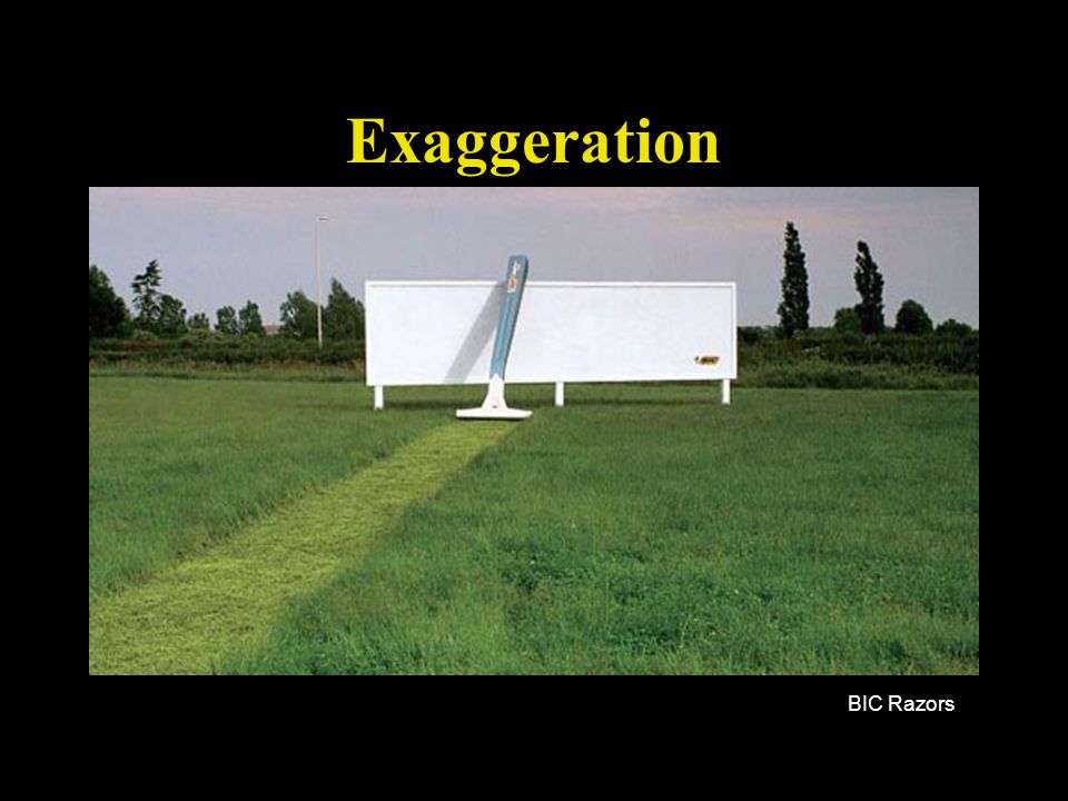 Exaggeration BIC Razors