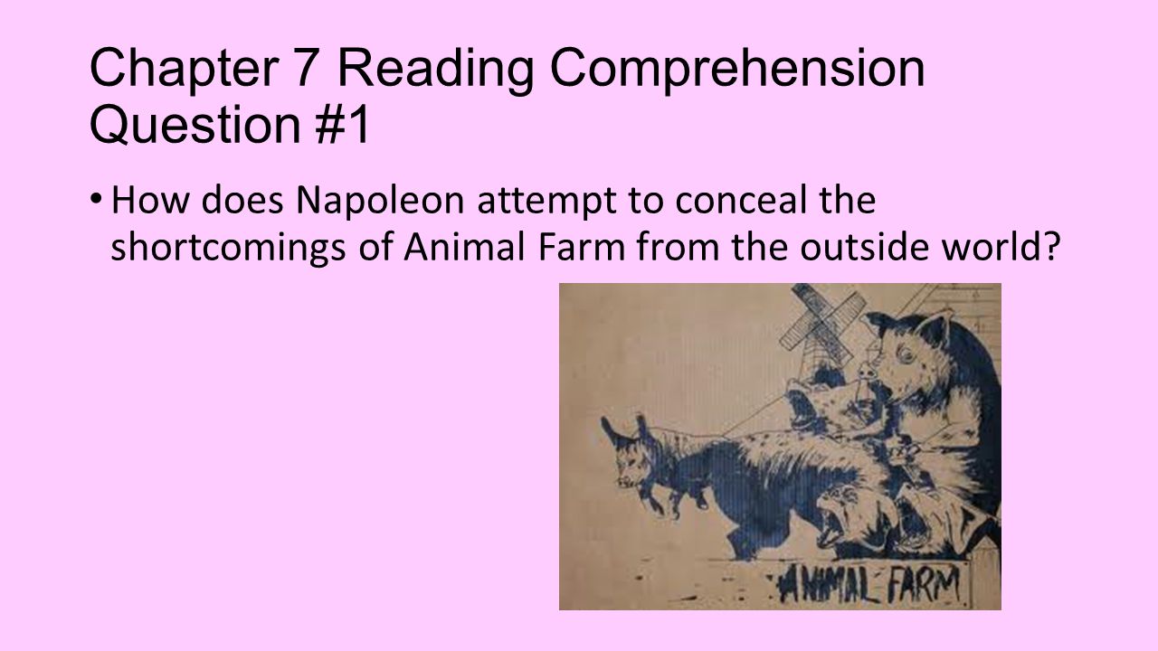chapter questions of animal farm englis chapter questions of animal farm englis