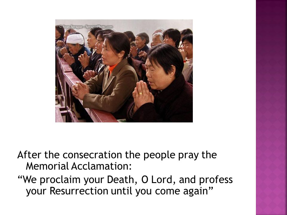 After the consecration the people pray the Memorial Acclamation: We proclaim your Death, O Lord, and profess your Resurrection until you come again