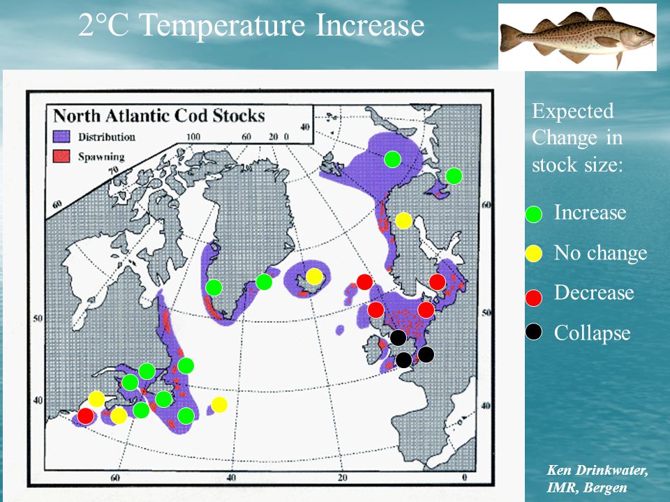 2°C Temperature Increase Increase No change Decrease Collapse Ken Drinkwater, IMR, Bergen Expected Change in stock size: