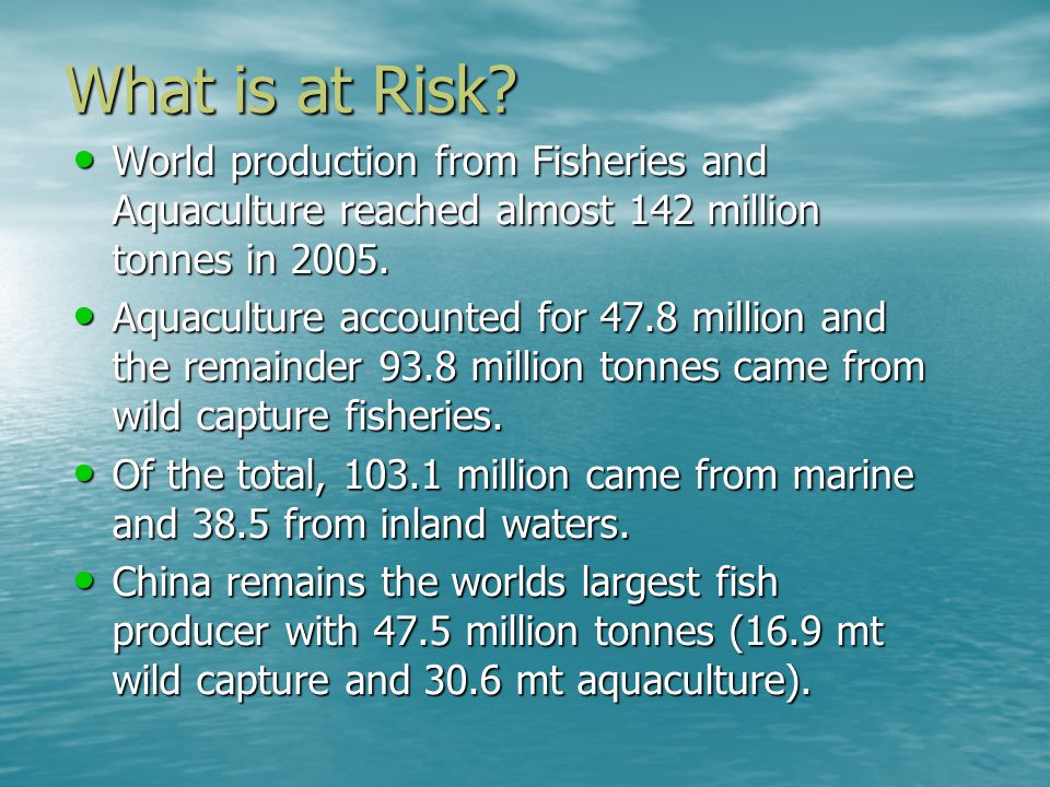 What is at Risk.