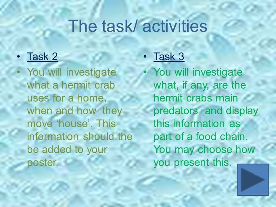 The task/ activities Task 2 You will investigate what a hermit crab uses for a home, when and how they move ‘house’.