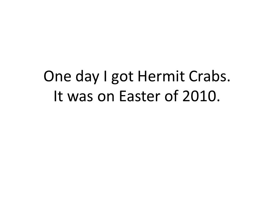 One day I got Hermit Crabs. It was on Easter of 2010.