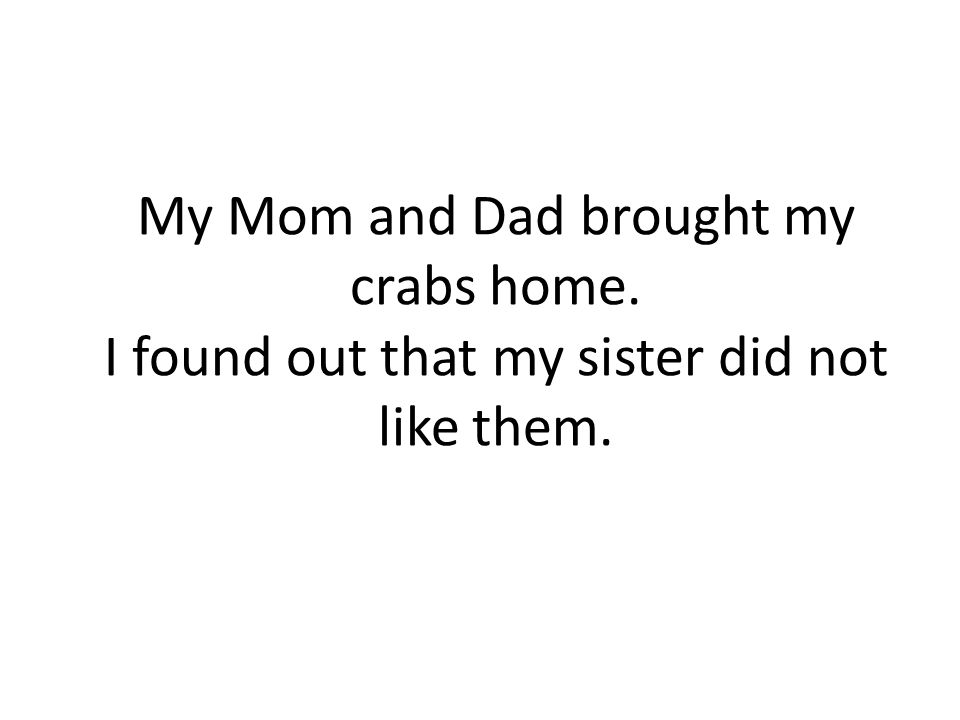 My Mom and Dad brought my crabs home. I found out that my sister did not like them.