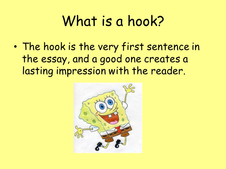 What is a hook sentence in an essay