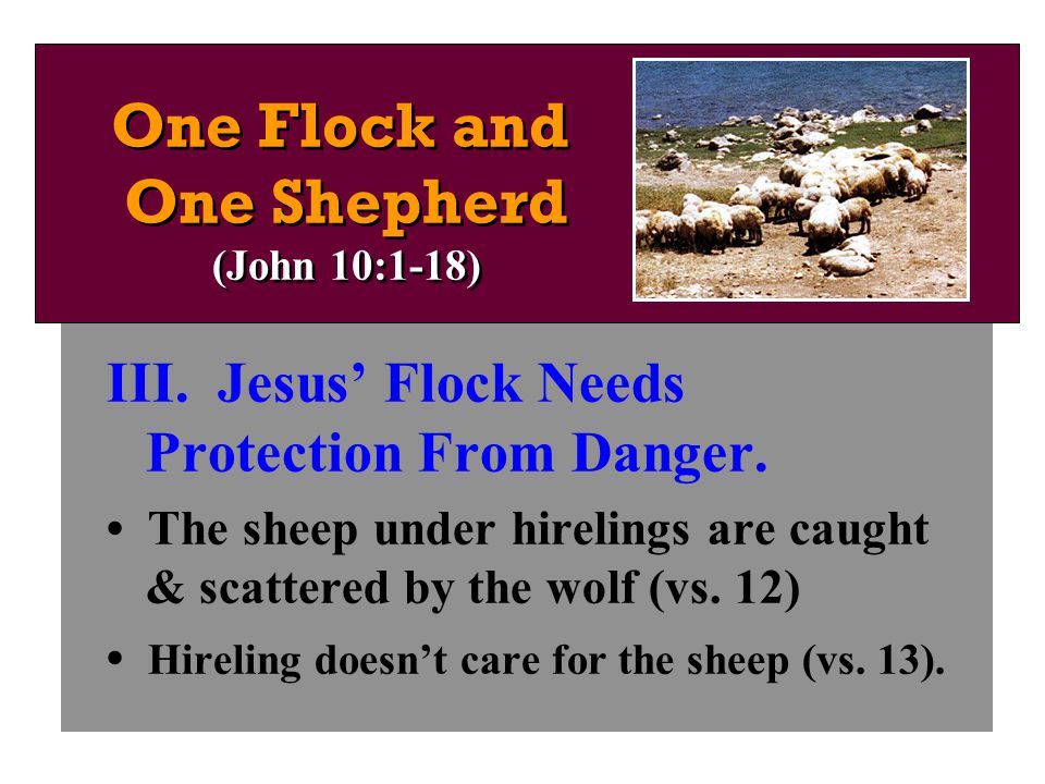 III. Jesus’ Flock Needs Protection From Danger.