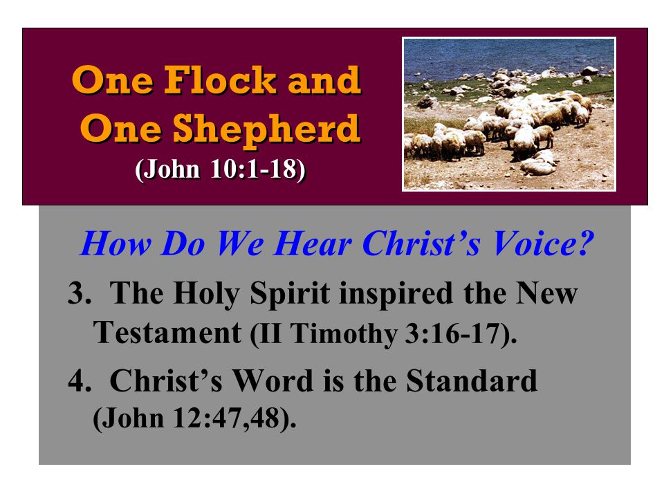 How Do We Hear Christ’s Voice. 3. The Holy Spirit inspired the New Testament (II Timothy 3:16-17).