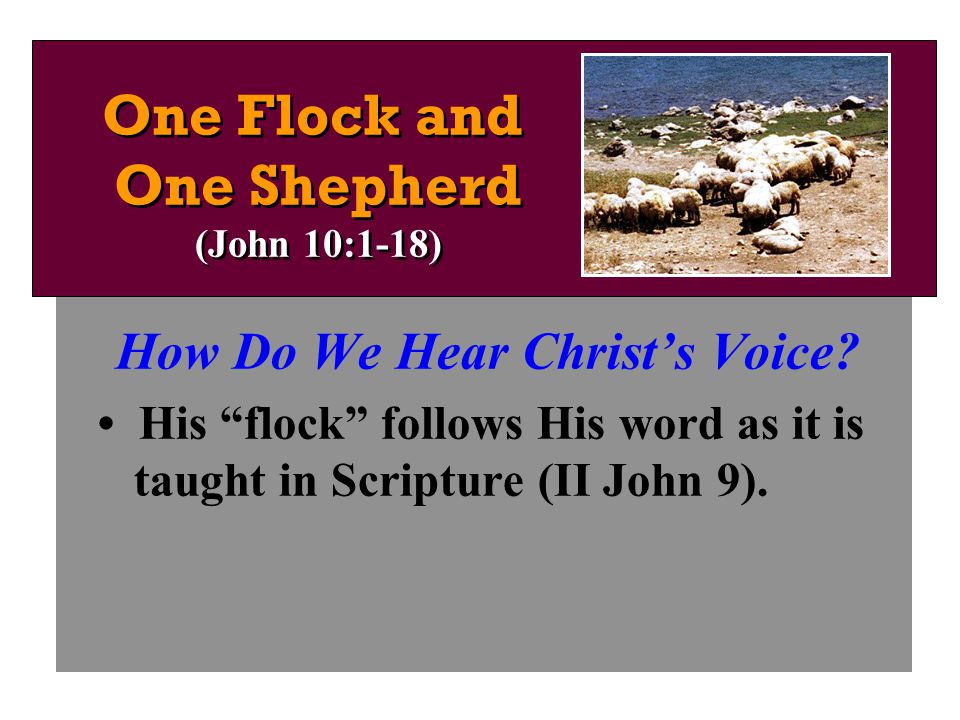 How Do We Hear Christ’s Voice.