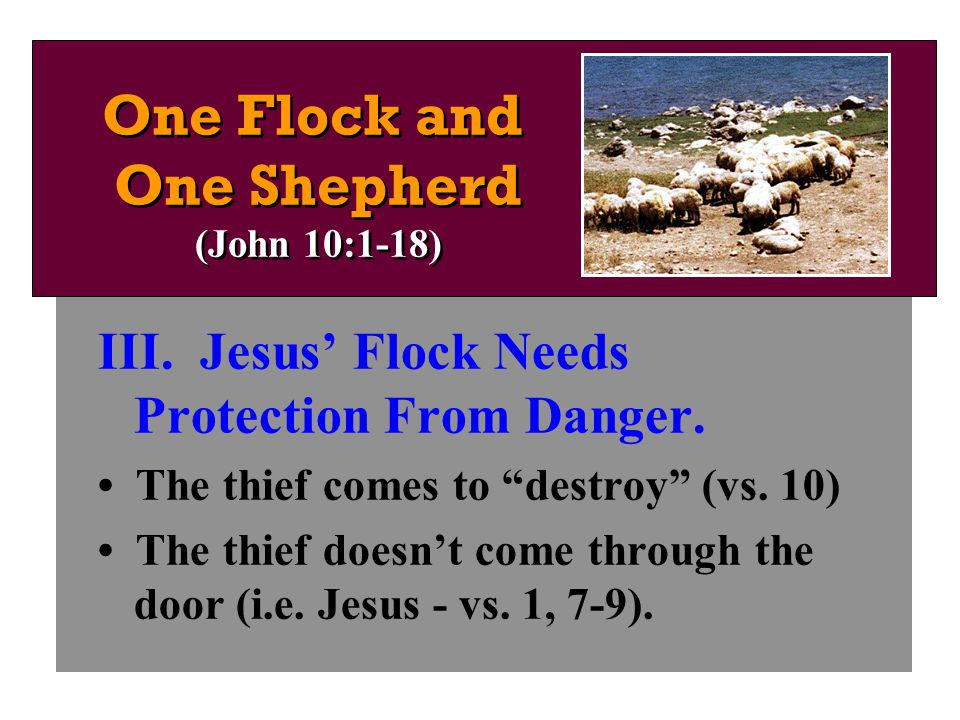 III. Jesus’ Flock Needs Protection From Danger. The thief comes to destroy (vs.