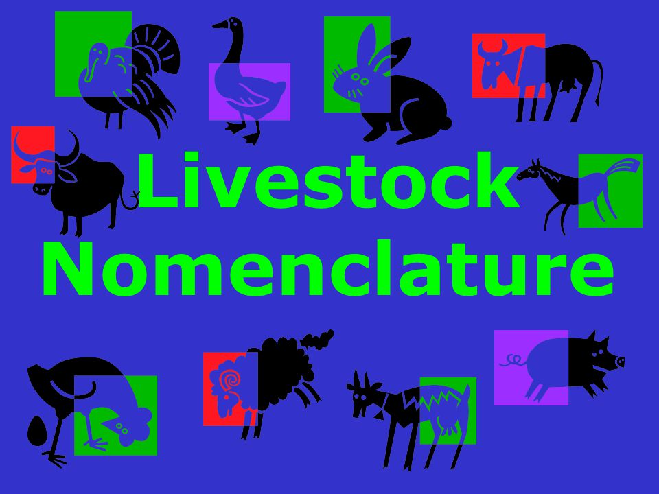 Livestock Nomenclature