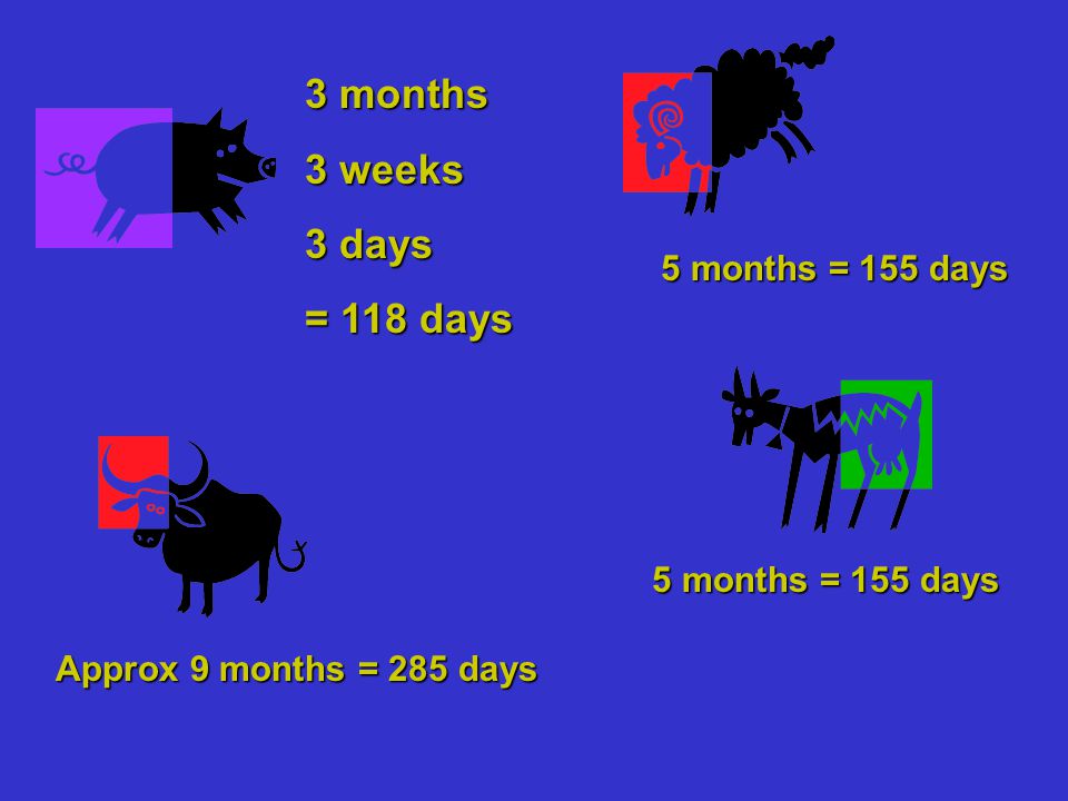3 months 3 weeks 3 days = 118 days Approx 9 months = 285 days 5 months = 155 days