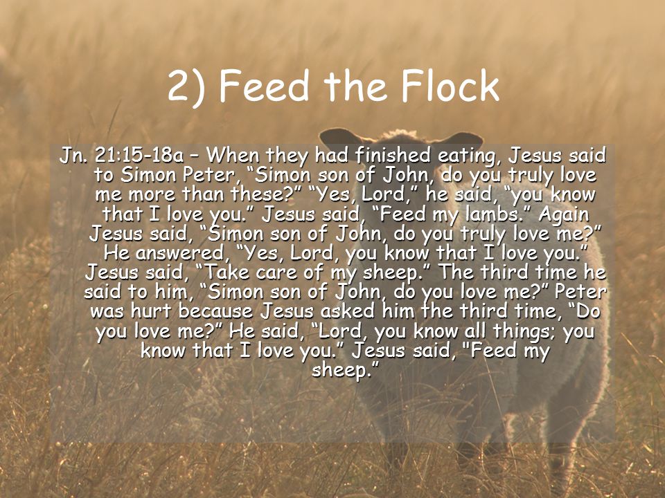 2) Feed the Flock Jn.