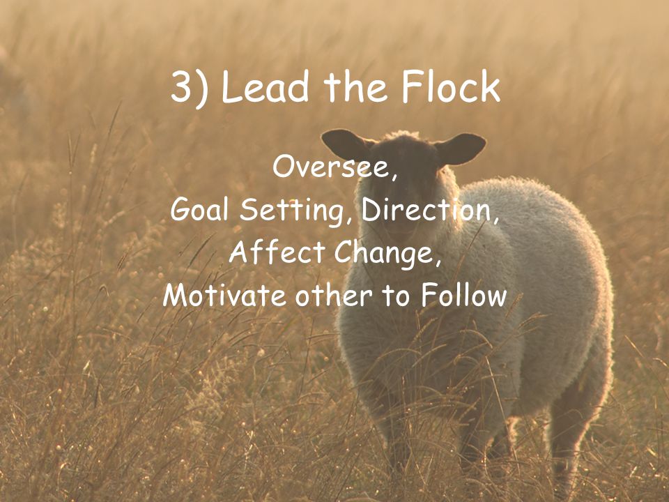 3) Lead the Flock Oversee, Goal Setting, Direction, Affect Change, Motivate other to Follow