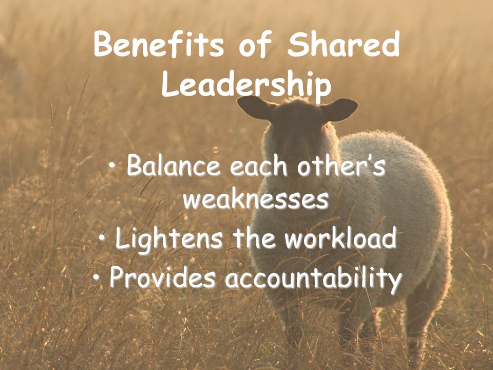 Benefits of Shared Leadership Balance each other’s weaknessesBalance each other’s weaknesses Lightens the workloadLightens the workload Provides accountabilityProvides accountability