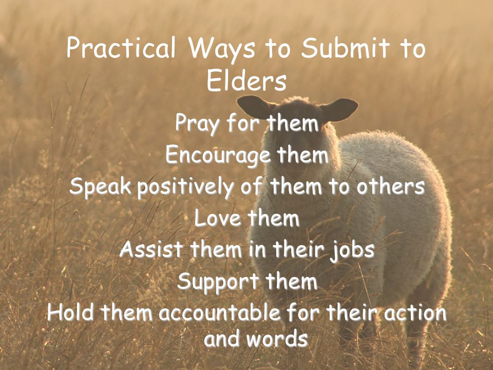 Practical Ways to Submit to Elders Pray for them Encourage them Speak positively of them to others Love them Assist them in their jobs Support them Hold them accountable for their action and words
