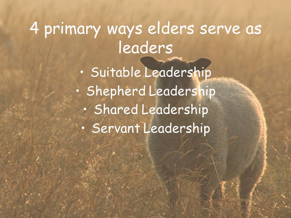 4 primary ways elders serve as leaders Suitable Leadership Shepherd Leadership Shared Leadership Servant Leadership