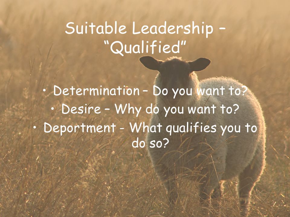 Suitable Leadership – Qualified Determination – Do you want to.