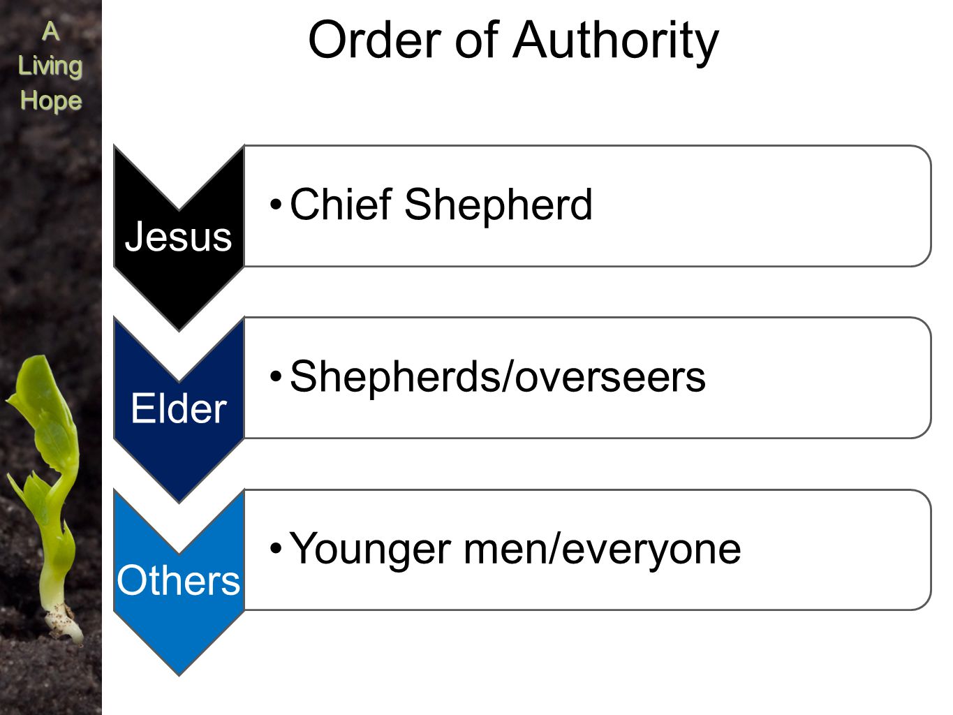 A Order of Authority Jesus Chief Shepherd Elder Shepherds/overseers Others Younger men/everyone