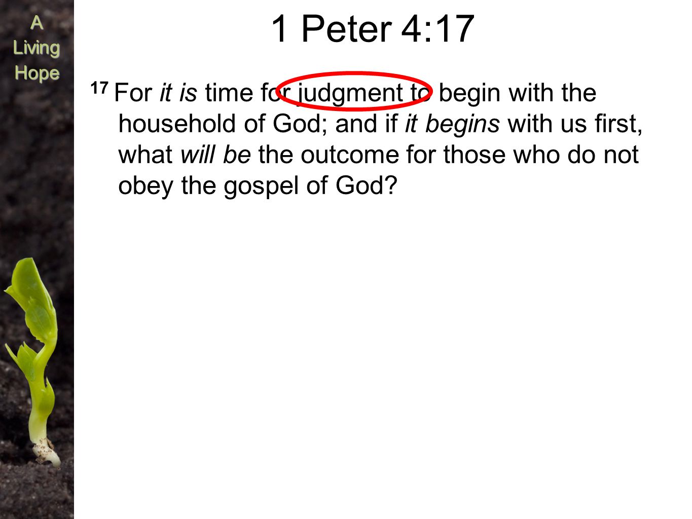 A Living Hope 1 Peter 4:17 17 For it is time for judgment to begin with the household of God; and if it begins with us first, what will be the outcome for those who do not obey the gospel of God