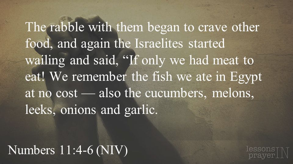 Numbers 11:4-6 (NIV) The rabble with them began to crave other food, and again the Israelites started wailing and said, If only we had meat to eat.