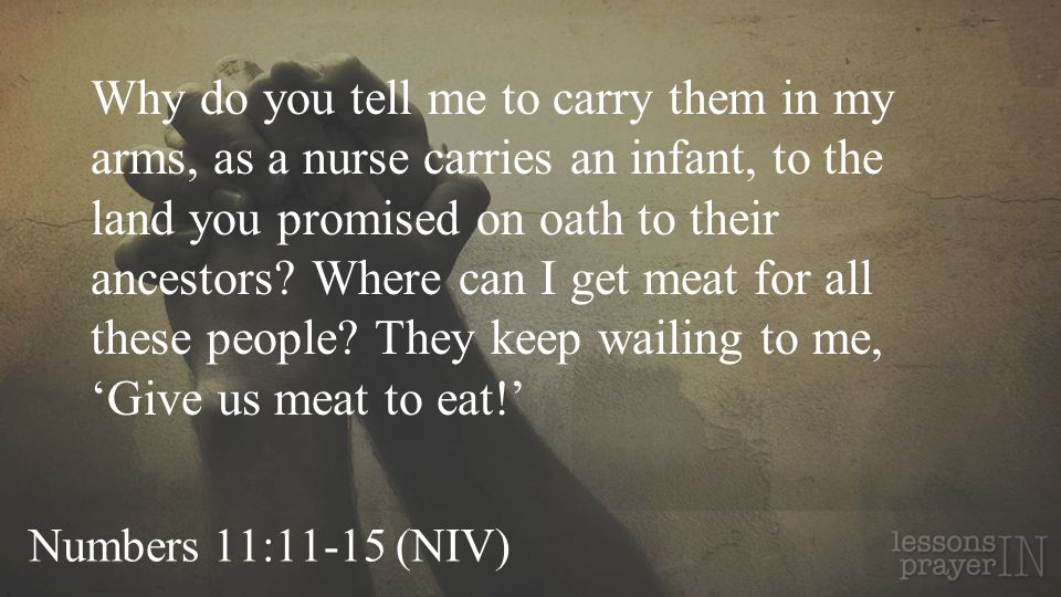 Numbers 11:11-15 (NIV) Why do you tell me to carry them in my arms, as a nurse carries an infant, to the land you promised on oath to their ancestors.