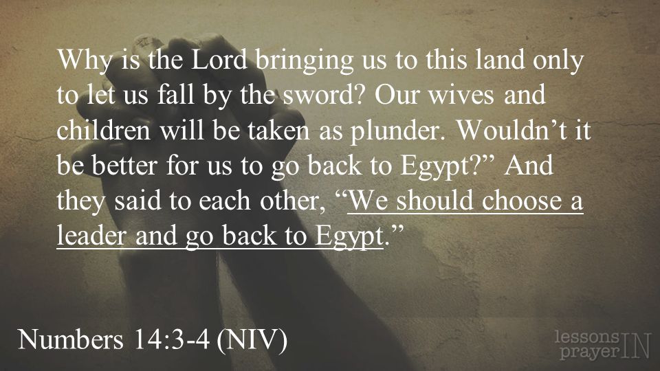 Numbers 14:3-4 (NIV) Why is the Lord bringing us to this land only to let us fall by the sword.