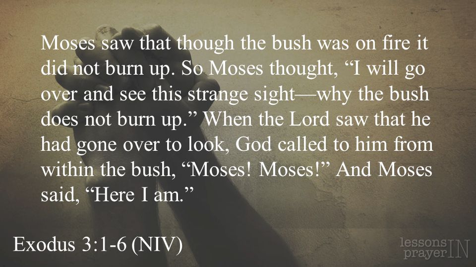 Exodus 3:1-6 (NIV) Moses saw that though the bush was on fire it did not burn up.