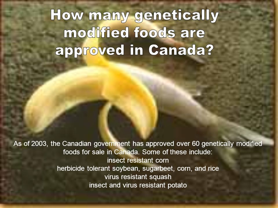 As of 2003, the Canadian government has approved over 60 genetically modified foods for sale in Canada.