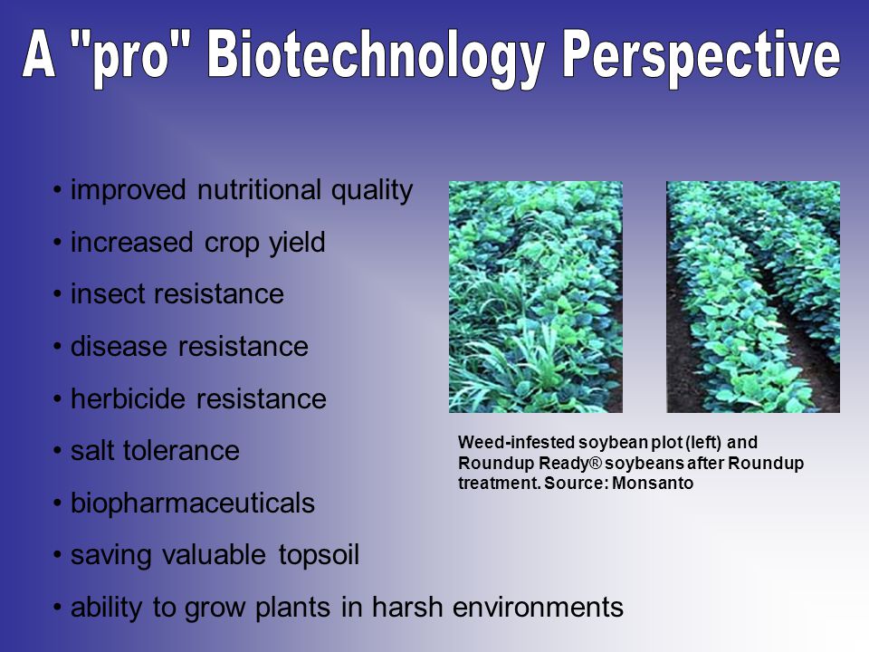 improved nutritional quality increased crop yield insect resistance disease resistance herbicide resistance salt tolerance biopharmaceuticals saving valuable topsoil ability to grow plants in harsh environments Weed-infested soybean plot (left) and Roundup Ready® soybeans after Roundup treatment.