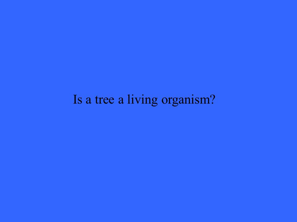 Is a tree a living organism